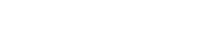 DE LA ESTRATEGIA A LA ACCION 1
